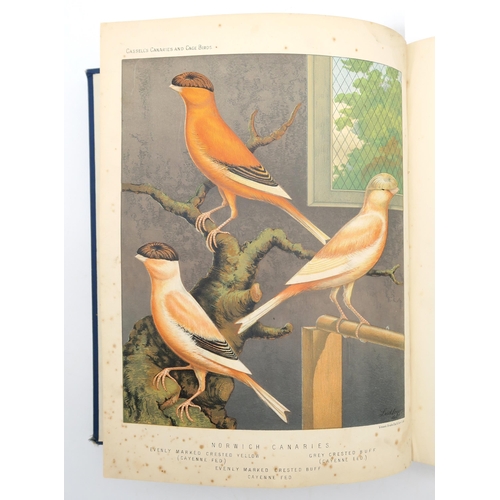 323 - Blakston, W.A. et al. The Illustrated Book of Canaries and Cage-BirdsCassell, Petter, Galpin & C... 