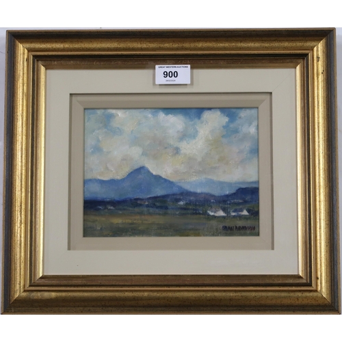 900 - SARAH DAVIDSON (IRISH b.1946) SPRING, MOUNT ERRIGAL, DONEGAL Oil on board, signed lower ri... 