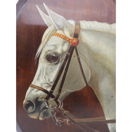 268 - A painted white horse head portrait on oval wooden panel