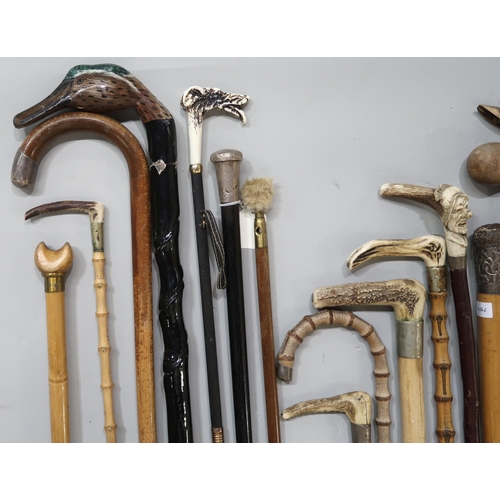 555 - A large collection of walking sticks and riding crops, to include an ebonised walking cane with Lond... 