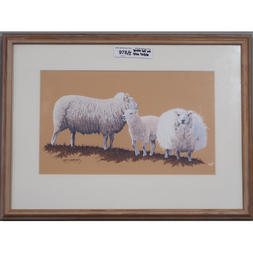 978 - CONTEMPORARY SCHOOL SHEEP FAMILY Gouache, signed lower left 'A.M. Briggs', 21 x 34cm ... 