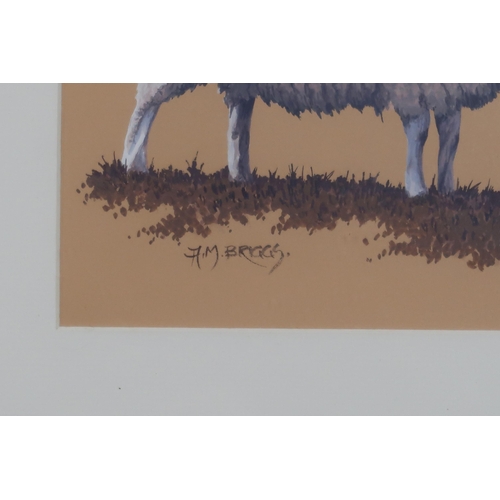 978 - CONTEMPORARY SCHOOL SHEEP FAMILY Gouache, signed lower left 'A.M. Briggs', 21 x 34cm ... 