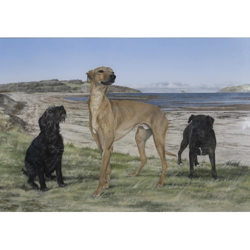 979 - GRAHAM BRADSHAW (SCOTTISH CONTEMPORARY) TOMMY, OSCAR, WICKY Gouache, signed lower right, 37 x 53cm T... 