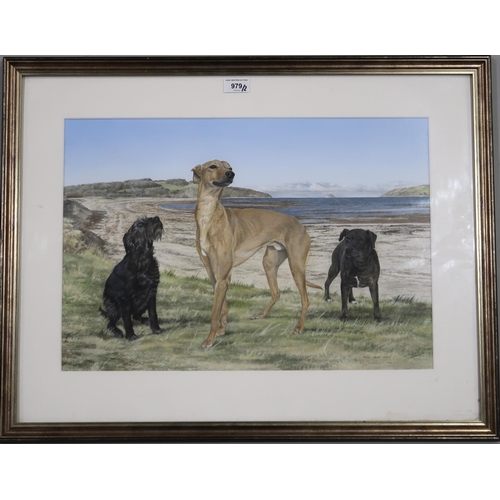 979 - GRAHAM BRADSHAW (SCOTTISH CONTEMPORARY) TOMMY, OSCAR, WICKY Gouache, signed lower right, 37 x 53cm T... 