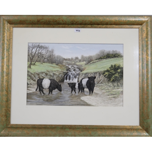 982 - GRAHAM BRADSHAW (CONTEMPORARY SCHOOL) BELTED GALLOWAY CATTLE Gouache, signed lower right, ... 