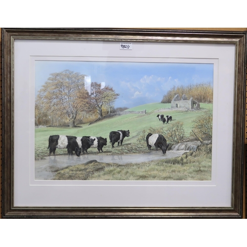 982 - GRAHAM BRADSHAW (CONTEMPORARY SCHOOL) BELTED GALLOWAY CATTLE Gouache, signed lower right, ... 