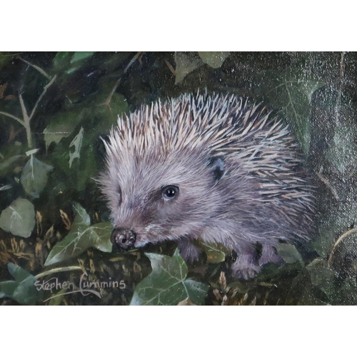 985 - STEPHEN CUMMINGS (CONTEMPORARY SCHOOL) HEDGEHOG Oil on board, signed lower left, 12 x 17cm... 