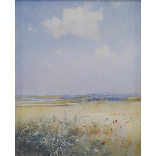 989 - WILLIAM NEAL (BRITISH b.1947) SUMMER Watercolour, signed lower right, 15 x 12.5cm... 