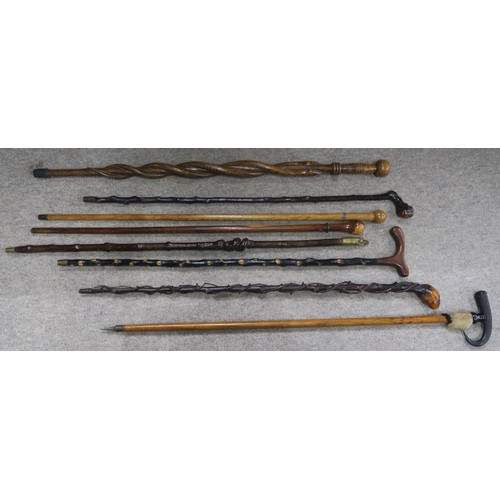 556A - A collection of eight assorted walking sticks, to include an example with brass fo dog pommel, a hor... 