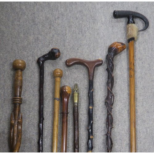 556A - A collection of eight assorted walking sticks, to include an example with brass fo dog pommel, a hor... 