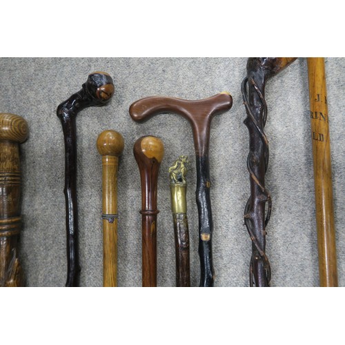 556A - A collection of eight assorted walking sticks, to include an example with brass fo dog pommel, a hor... 