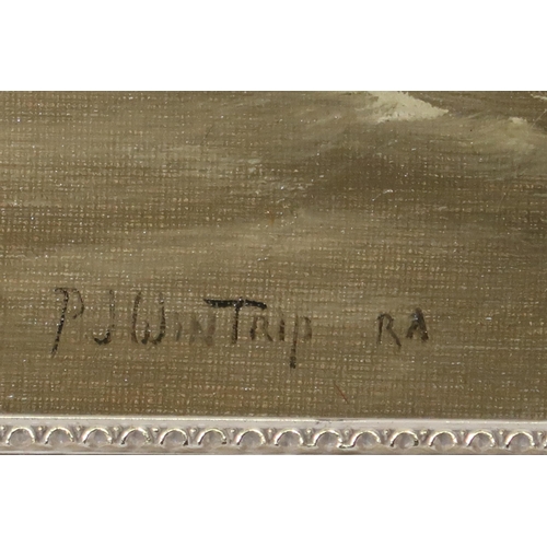 906 - PAUL J. WINTRIP RA (20th CENTURY SCHOOL) MARYANNE Oil on canvas, signed lower right, 39 x ... 