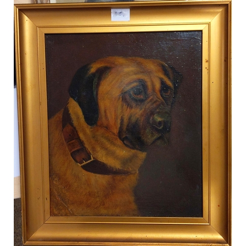 917A - SCOTTISH SCHOOL PORTRAIT OF A DOG Oil on canvas, dated 1890, 'Cam' inscribed, 24 x 20cm... 