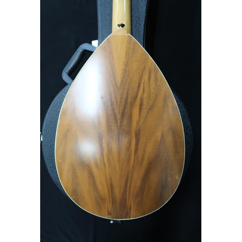 364 - A contemporary mandola in natural finish, 18 frets with a fitted case