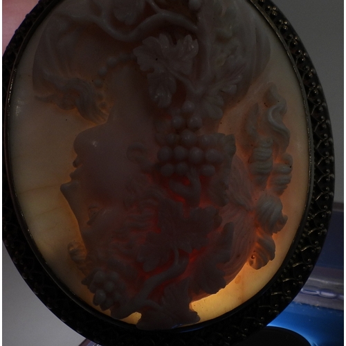 2749 - CONCH SHELL CAMEOSthe well carved cameo of a follower of Bacchus is mounted in a decorative gilded w... 