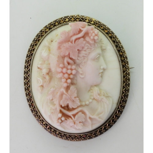 2749 - CONCH SHELL CAMEOSthe well carved cameo of a follower of Bacchus is mounted in a decorative gilded w... 