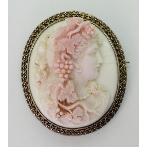 2749 - CONCH SHELL CAMEOSthe well carved cameo of a follower of Bacchus is mounted in a decorative gilded w... 