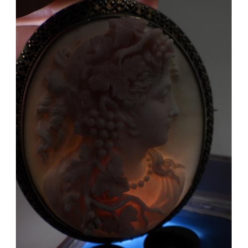 2749 - CONCH SHELL CAMEOSthe well carved cameo of a follower of Bacchus is mounted in a decorative gilded w... 