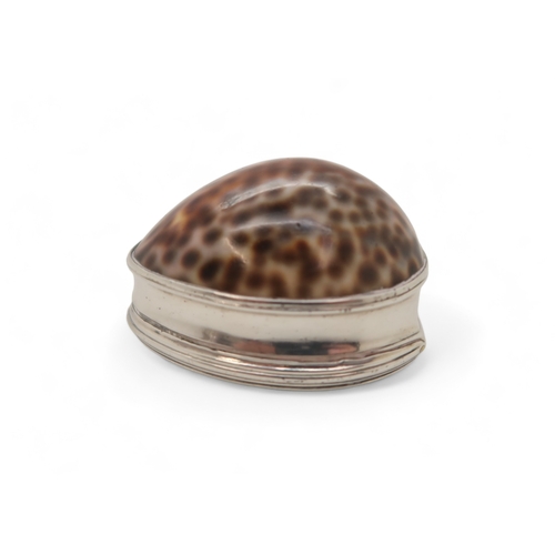 2500A - A 19TH CENTURY, POSSIBLY SCOTTISH PROVINCIAL SILVER MOUNTED COWRIE SHELL SNUFF BOXmaker's mark EC, t... 