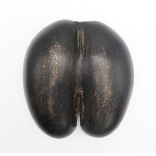 2656 - A COCO DE MER NUT (LODOICEA)Measuring approx. 30.5cm x 29cm, weighing approx. 5.33kg... 