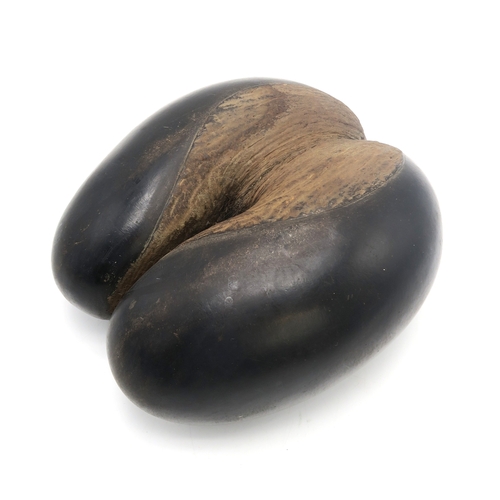 2656 - A COCO DE MER NUT (LODOICEA)Measuring approx. 30.5cm x 29cm, weighing approx. 5.33kg... 