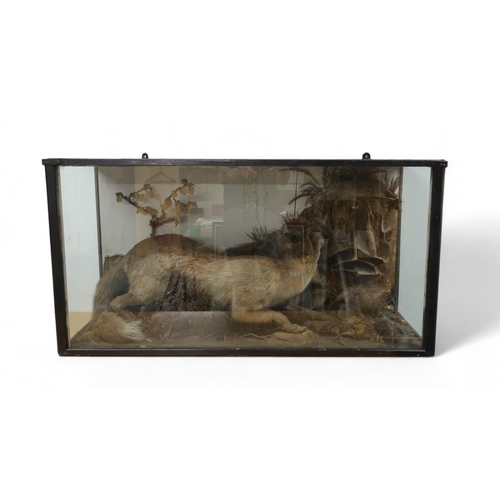 2661 - TAXIDERMY - A RED FOX (VULPES VULPES) DIORAMAModelled in pursuit of its prey, within a naturalistic ... 