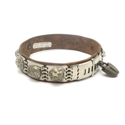 2667 - AN IMPRESSIVE WHITE METAL-MOUNTED LEATHER DOG COLLARCirca-1900, the linked metal plates each bearing... 