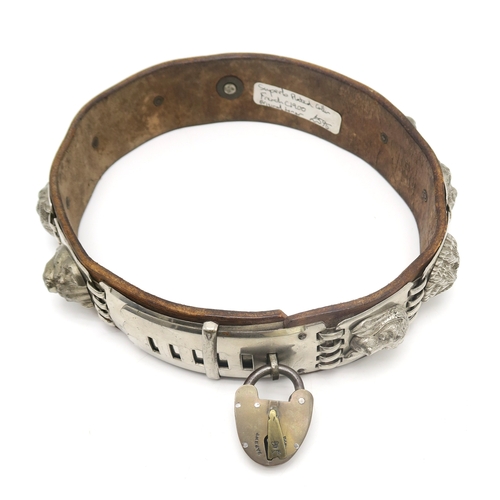 2667 - AN IMPRESSIVE WHITE METAL-MOUNTED LEATHER DOG COLLARCirca-1900, the linked metal plates each bearing... 