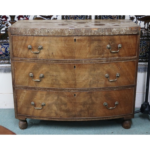 22 - A Georgian walnut veneered bow front chest of three drawers on turned feet, 78cm high x 90cm wide x ... 