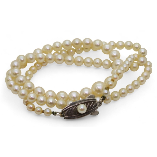 811 - A 46cm string of Mikimoto pearls with silver pearl set Mikimoto branded clasp, in original box large... 