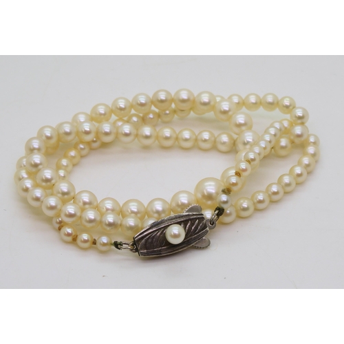 811 - A 46cm string of Mikimoto pearls with silver pearl set Mikimoto branded clasp, in original box large... 