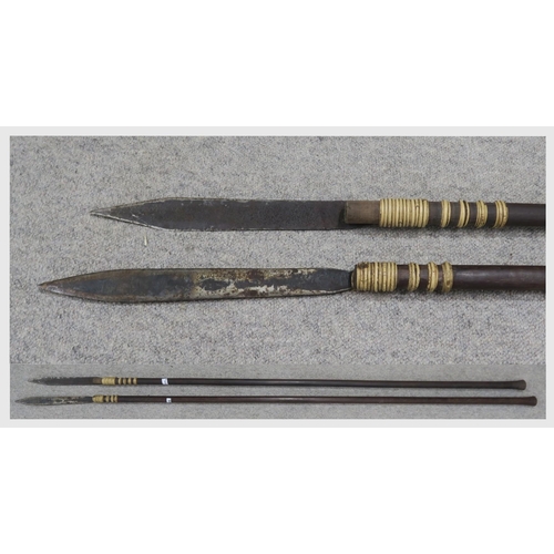 424 - Two large Bornean Dayak-type blowpipe spears, the hardwood shafts with flared butt ends (2)