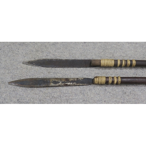 424 - Two large Bornean Dayak-type blowpipe spears, the hardwood shafts with flared butt ends (2)