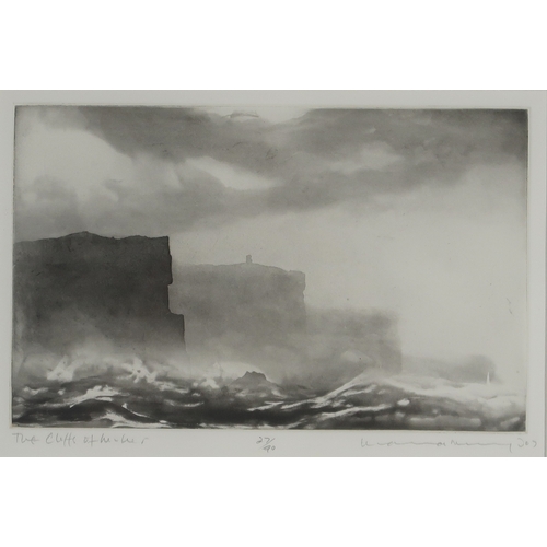 3006 - NORMAN ACKROYD CBE RA (BRITISH B.1938)CLIFFS OF MOHARAquatint, signed, inscribed and numbered 27/90i... 