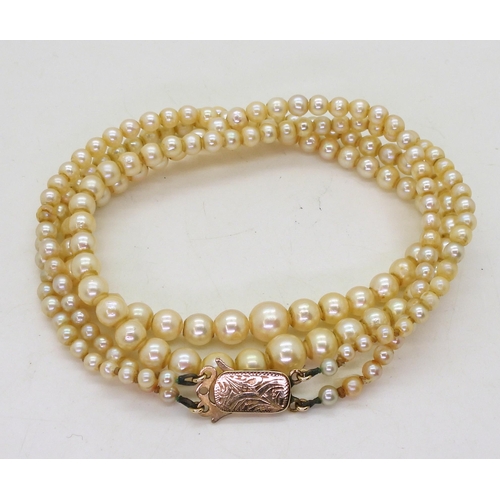 854 - A double string of cream pearls with a 9ct gold clasp, shortest strand approx 41cm