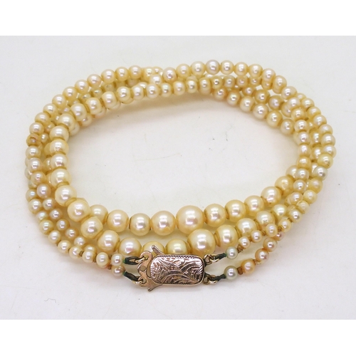 854 - A double string of cream pearls with a 9ct gold clasp, shortest strand approx 41cm