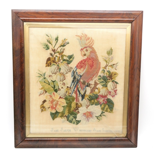 358 - A Victorian needlework tapestry picture of a parrot, by Jane Jarvie, Whitelees Arts School (?), 1870... 