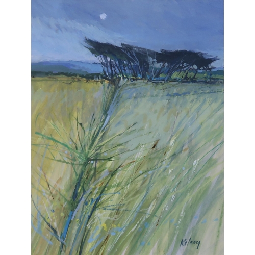 1004 - ROBERT KELSEY PAI FRSA (SCOTTISH b.1949) MEADOW Oil on board, signed lower right, 38 x 28cm... 