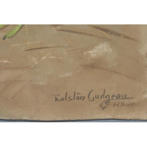 952 - RALSTON GUDGEON RSW (SCOTTISH 1910-1984) WATERHEN Watercolour, signed lower right, 28 x 38cm... 