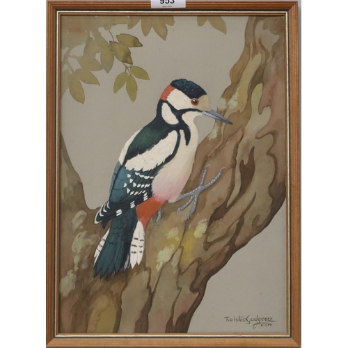 953 - RALSTON GUDGEON RSW (SCOTTISH 1910-1984) WOODPECKER Watercolour, signed lower right, 35 x ... 