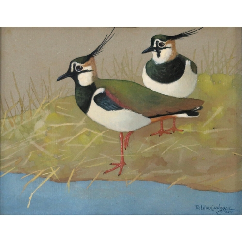 955 - RALSTON GUDGEON RSW (SCOTTISH 1910-1984) LAPWINGS Watercolour, signed lower right, 19 x 24... 