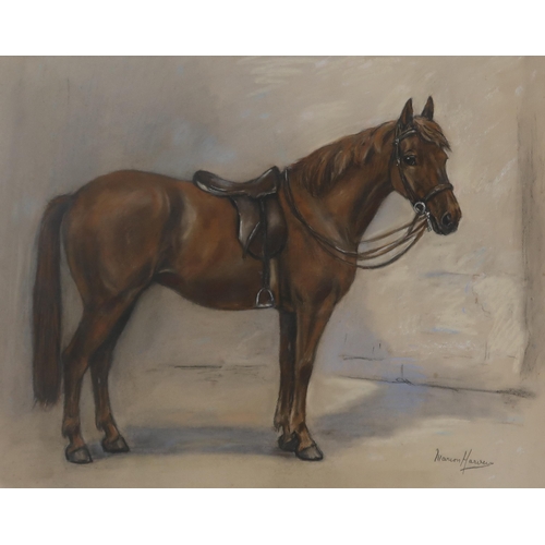 957 - MARION RODGER HAMILT HARVEY (SCOTTISH 1886-1971) PORTRAIT OF A HORSE  Charcoal, signe... 