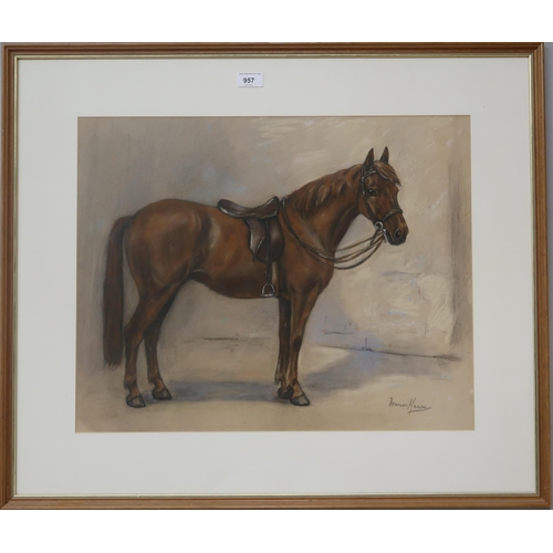 957 - MARION RODGER HAMILT HARVEY (SCOTTISH 1886-1971) PORTRAIT OF A HORSE  Charcoal, signe... 