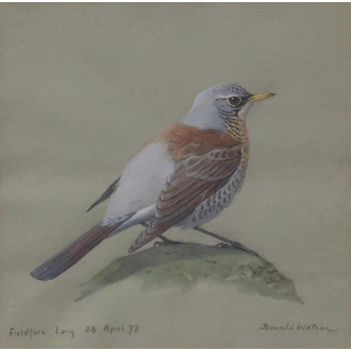 958 -  DONALD WATSON (ENGLISH 1918-2005) FIELDFARE Watercolour, signed lower right, dated A... 