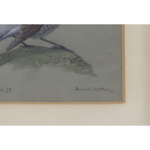 958 -  DONALD WATSON (ENGLISH 1918-2005) FIELDFARE Watercolour, signed lower right, dated A... 