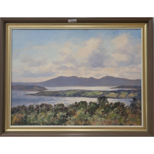 959 - J. D. HENDERSON (SCOTTISH 1832-1908) LOCH VIEW Oil on canvas, signed lower left, dated (18)83, 45 x ... 