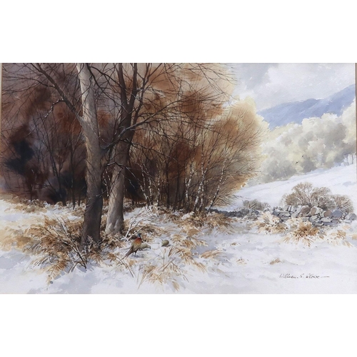 906 - WILLIAM SIMPSON CLOVE (20th CENTURY SCHOOL) AMONG THE FERNS Watercolour, signed lower righ... 