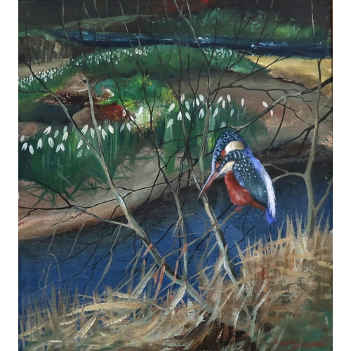 909 - RALSTON GUDGEON RSW (SCOTTISH 1910-1984) KINGFISHER Oil on board, signed lower right, 37 x... 