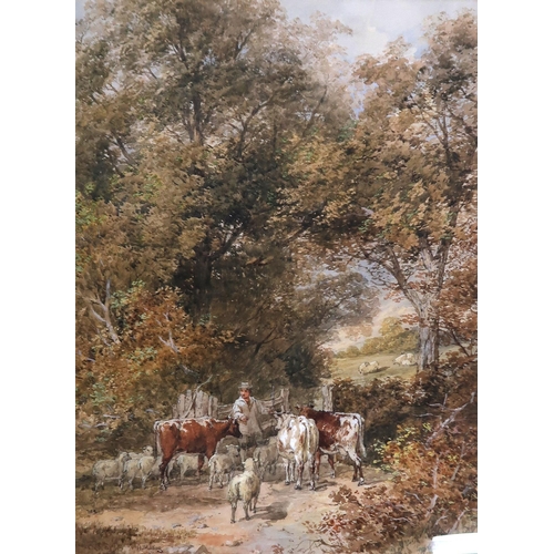 911 - HENRY JAMES HOLDING (ENGLISH 1833-1872) LIVESTOCK GRAZING Watercolour, signed lower left, ... 