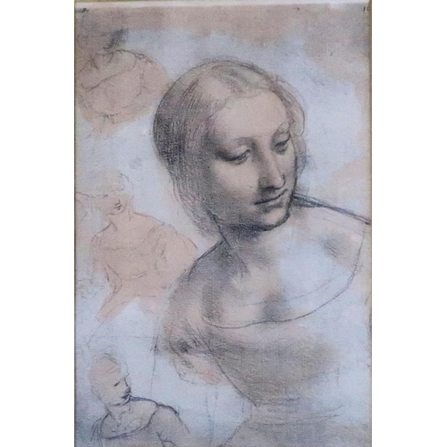 928 - Modern decorative lithographs after Leonardo da Vinci (4)